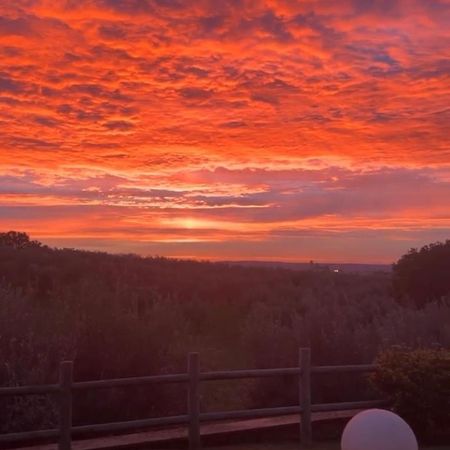 Agriturismo La Lampada Di Atena Vetralla Kültér fotó